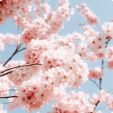 柔性振動盤廠家,焊接機(jī)器人廠家，柔性振動盤，焊接機(jī)器人，工業(yè)機(jī)器人，智哥機(jī)器人，視覺上料，機(jī)器人系統(tǒng)開發(fā),機(jī)器人控制器,伺服驅(qū)動器,機(jī)器人本體研發(fā),機(jī)器人本體,伺服電機(jī),機(jī)器人系統(tǒng)集成,工業(yè)自動化成套設(shè)備,伺服電缸,伺服電動缸,伺服電動缸廠家,國產(chǎn)伺服電動缸